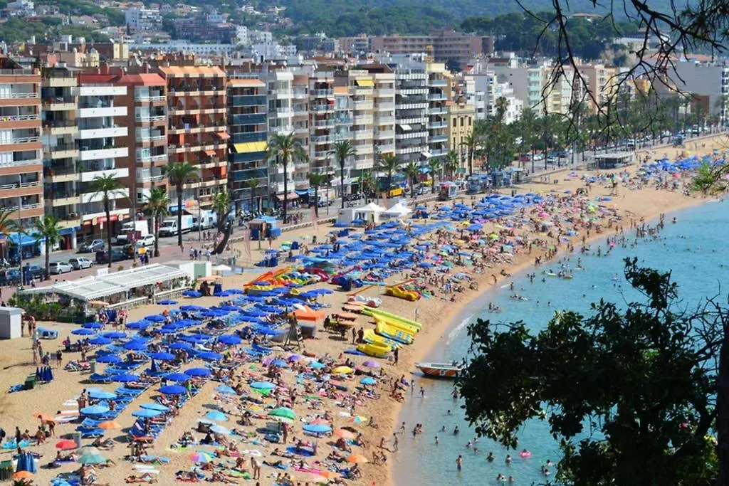 Apartamento- Estudio Aloe Apartment Lloret de Mar