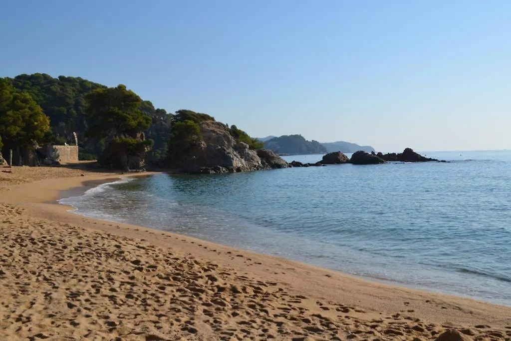 Apartamento- Estudio Aloe Apartment Lloret de Mar